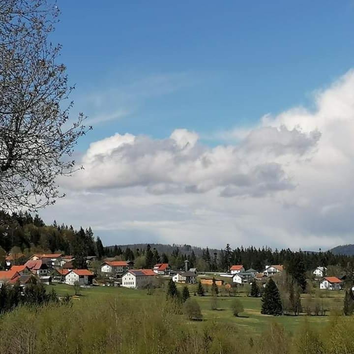 Edelstein Ferienwohnung Philippsreut Exteriör bild