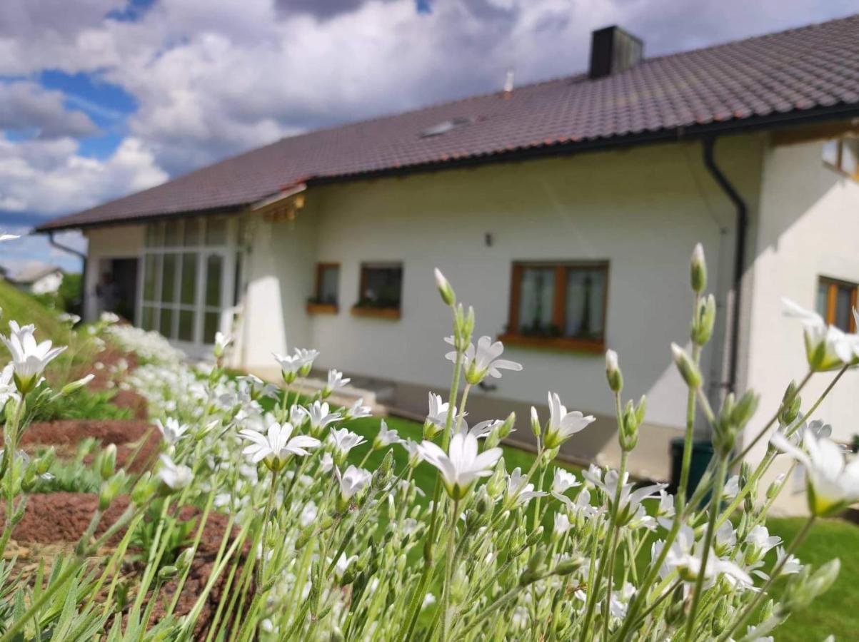 Edelstein Ferienwohnung Philippsreut Exteriör bild